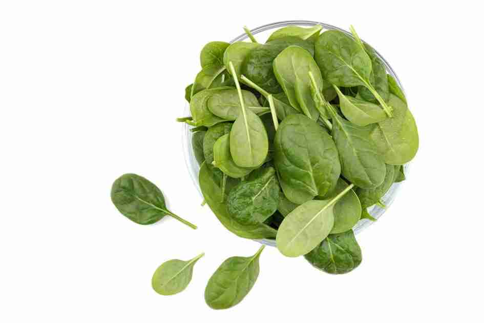 Fresh spinach in a bowl
