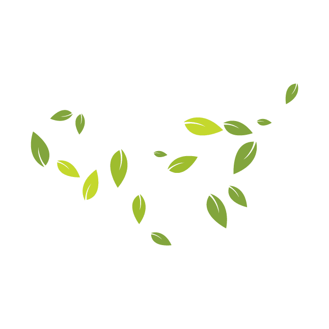 leaf Image - InviNutri
